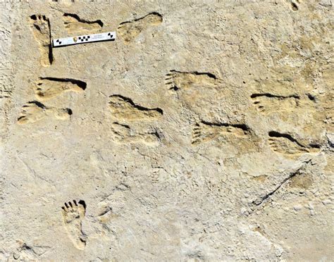 dinosaur tracks of western north america Kindle Editon