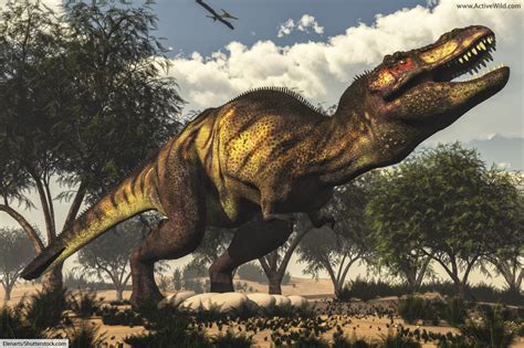 dinosaurs of the cretaceous era Reader