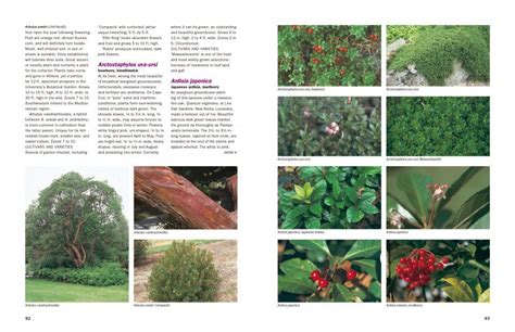 dirrs encyclopedia of trees and shrubs Kindle Editon