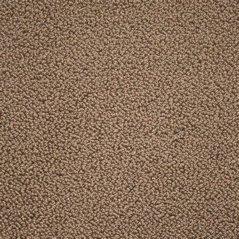 dirty tan barbour carpet