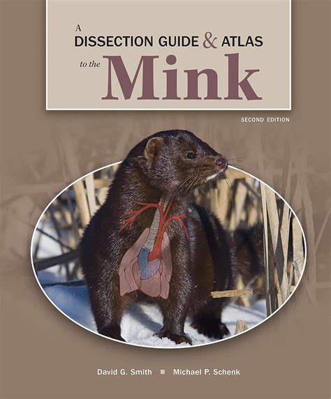 dissection guide and atlas to the mink Kindle Editon