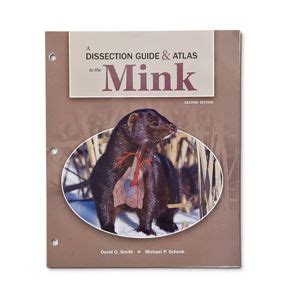 dissection guide and atlas to the mink Kindle Editon