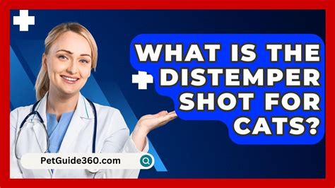 distemper shot for cats