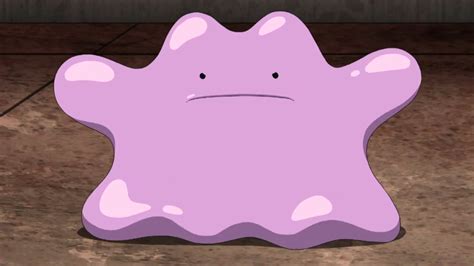 ditto pokemon x