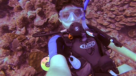 diving bay islands aqua quest diving series Kindle Editon