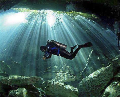 diving playa del carmen