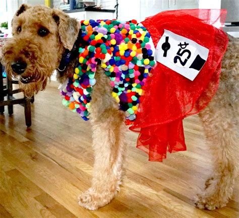 diy dog costumes