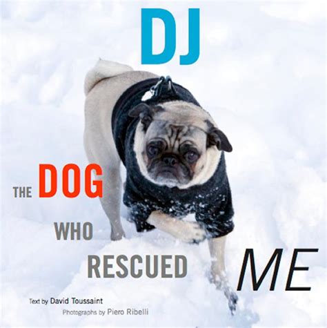 dj the dog who rescued me Reader