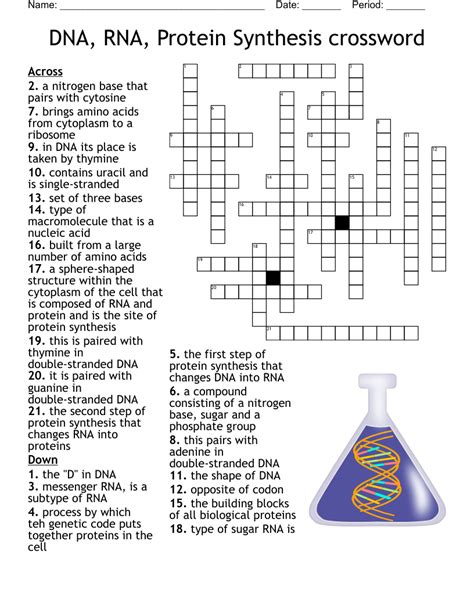 dna rna protein synthesis crossword answers Doc