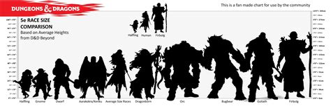 dnd dwarf height