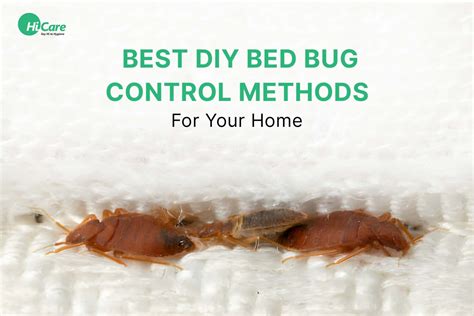 do it yourself bed bug treatment methods Reader