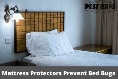 do mattress protectors prevent bed bugs