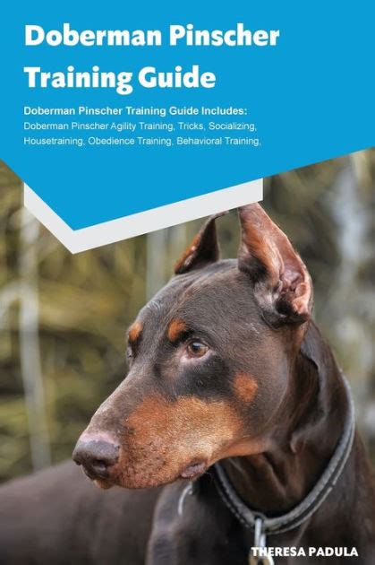 doberman pinscher training guide book Reader