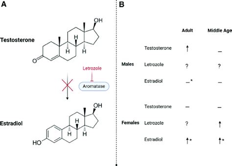 does alcohol reduce effects of letrozole Doc