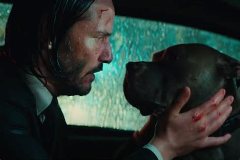 does the dog die in john wick 2