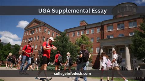 does uga require supplemental essays