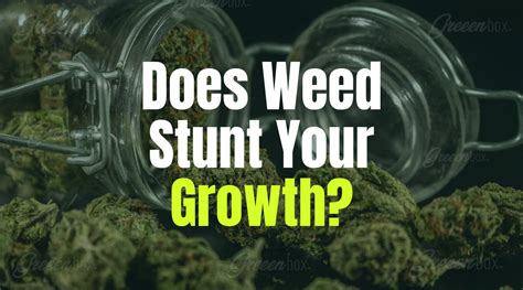 does weed stunt your growth