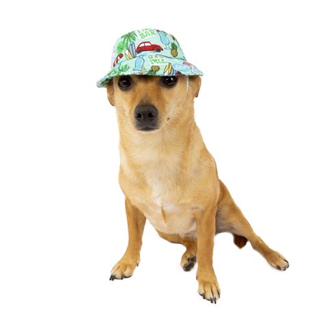 dog bucket hat