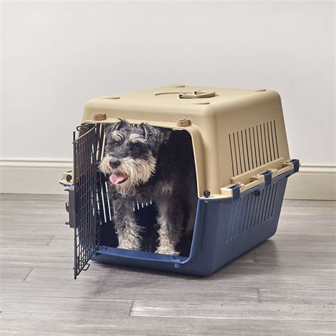 dog cages medium