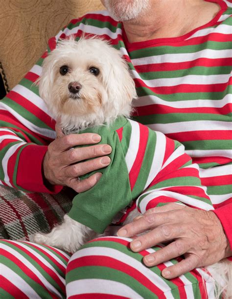 dog christmas pjs matching