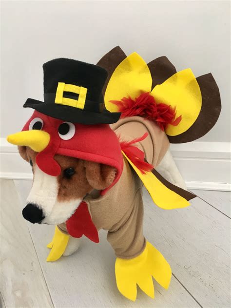 dog costumes for thanksgiving