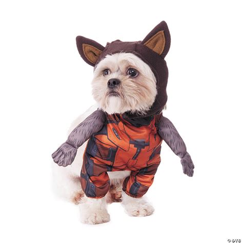 dog costumes guardians of the galaxy