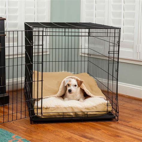 dog crate and bed