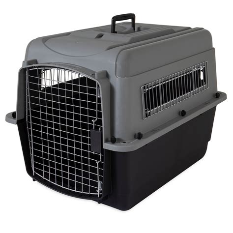 Dog Crate Petsmart