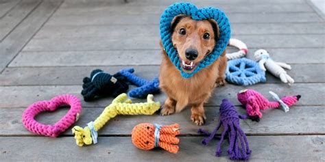 dog enrichment toys