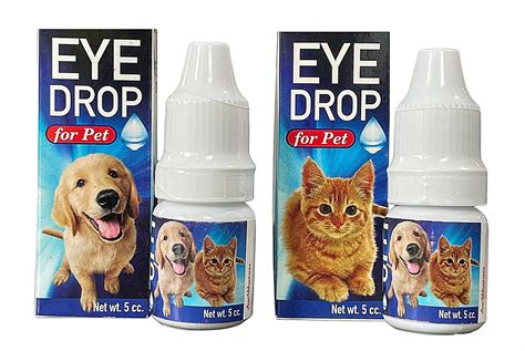 dog eye drops