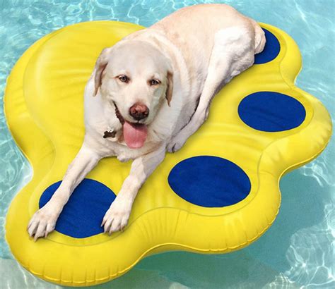 dog float