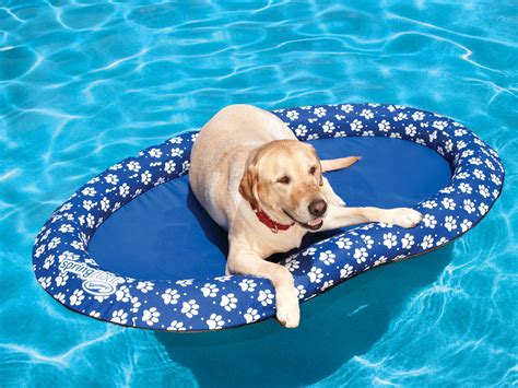 dog floats for the pool