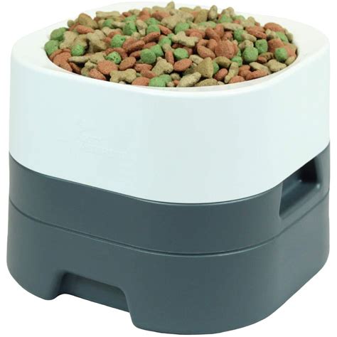 dog food bowl