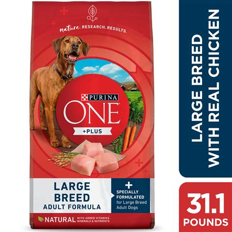 dog food by purina