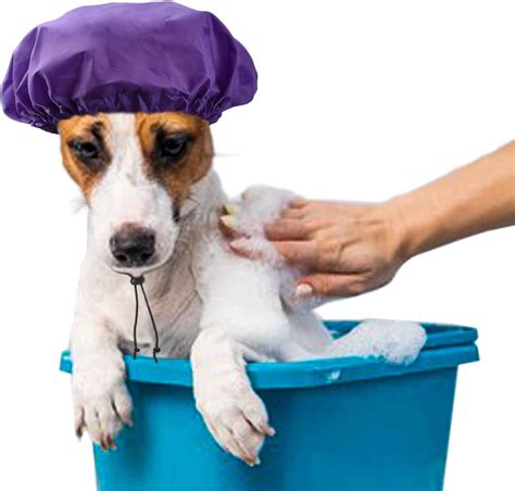 dog in shower cap