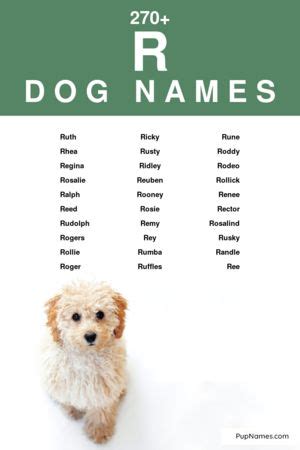 dog names that start with r