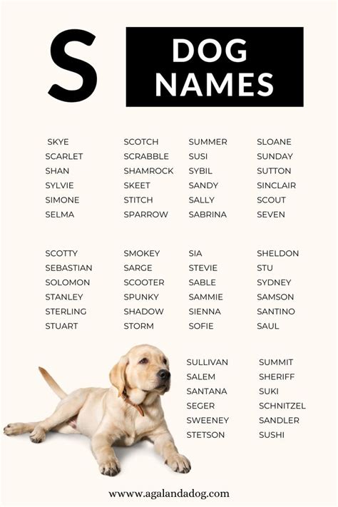 dog names with s