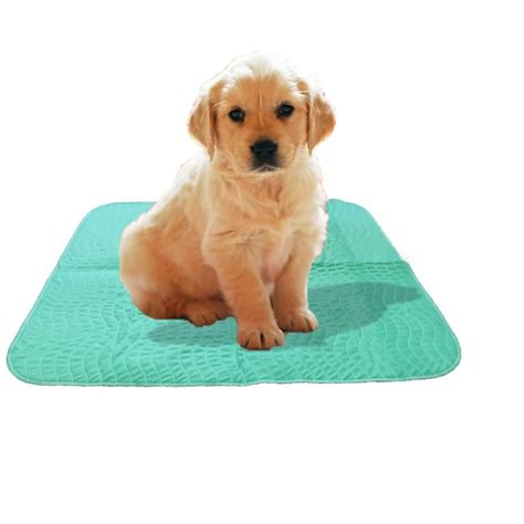 dog pee pads washable