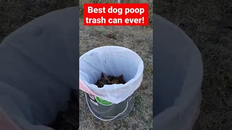 dog poop in garbage cans