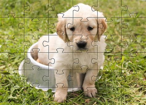 dog puzzle