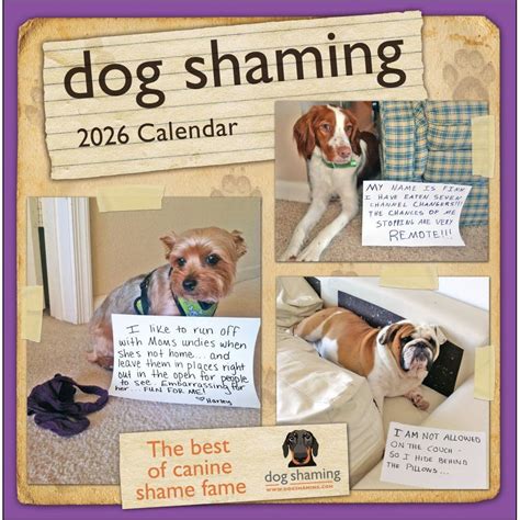 dog shaming 2016 wall calendar PDF