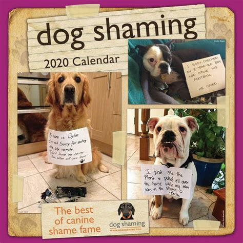 dog shaming 2020 wall calendar Reader