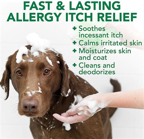 dog shampoo for dogs with itchy skin