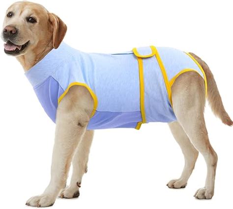 dog shirt for after surgery potty breaks