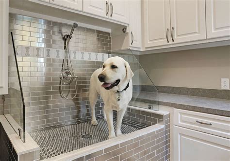 dog shower