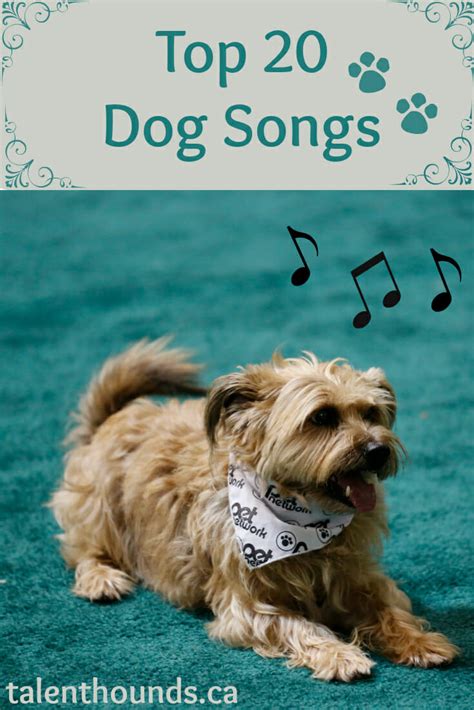dog songs download Epub