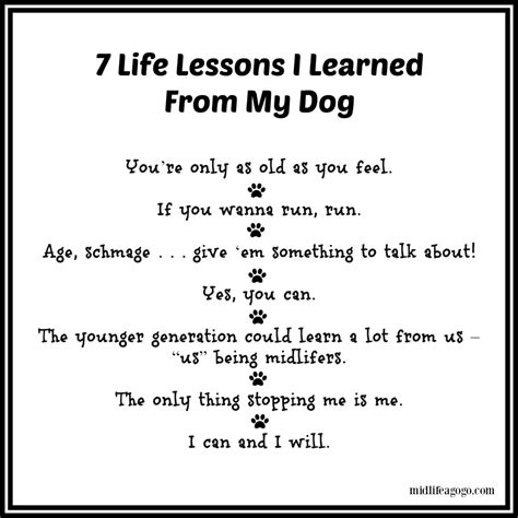 dog talk lessons learned from a life with dogs Reader