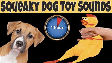 dog toy sounds