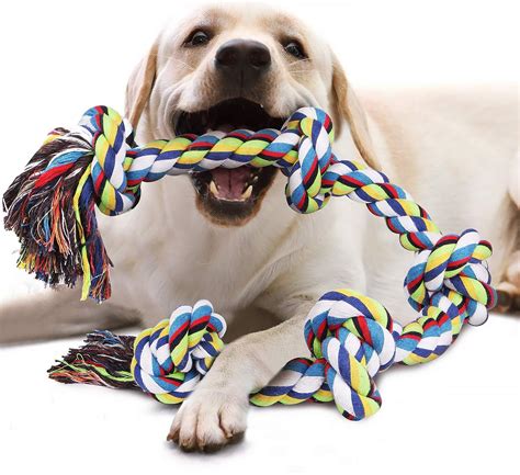 dog toys dog