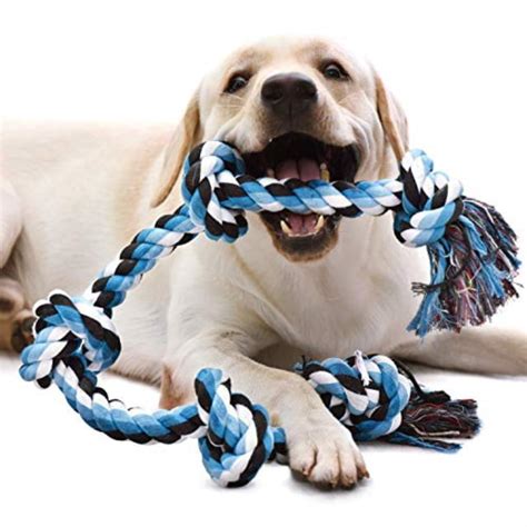 dog toys for aggressive chewers